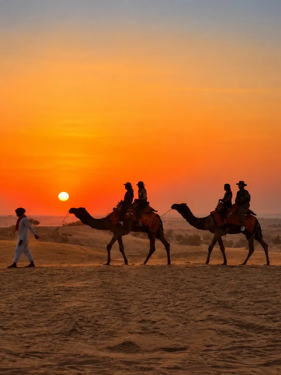 Camel Safari Jaisalmer