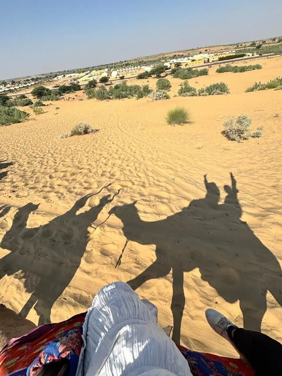 Couple Camel Safari