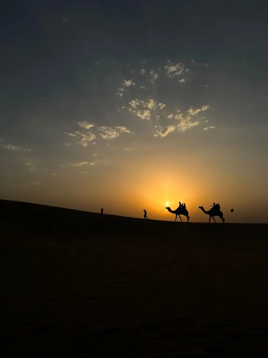 Camel Safari in Jaisalmer