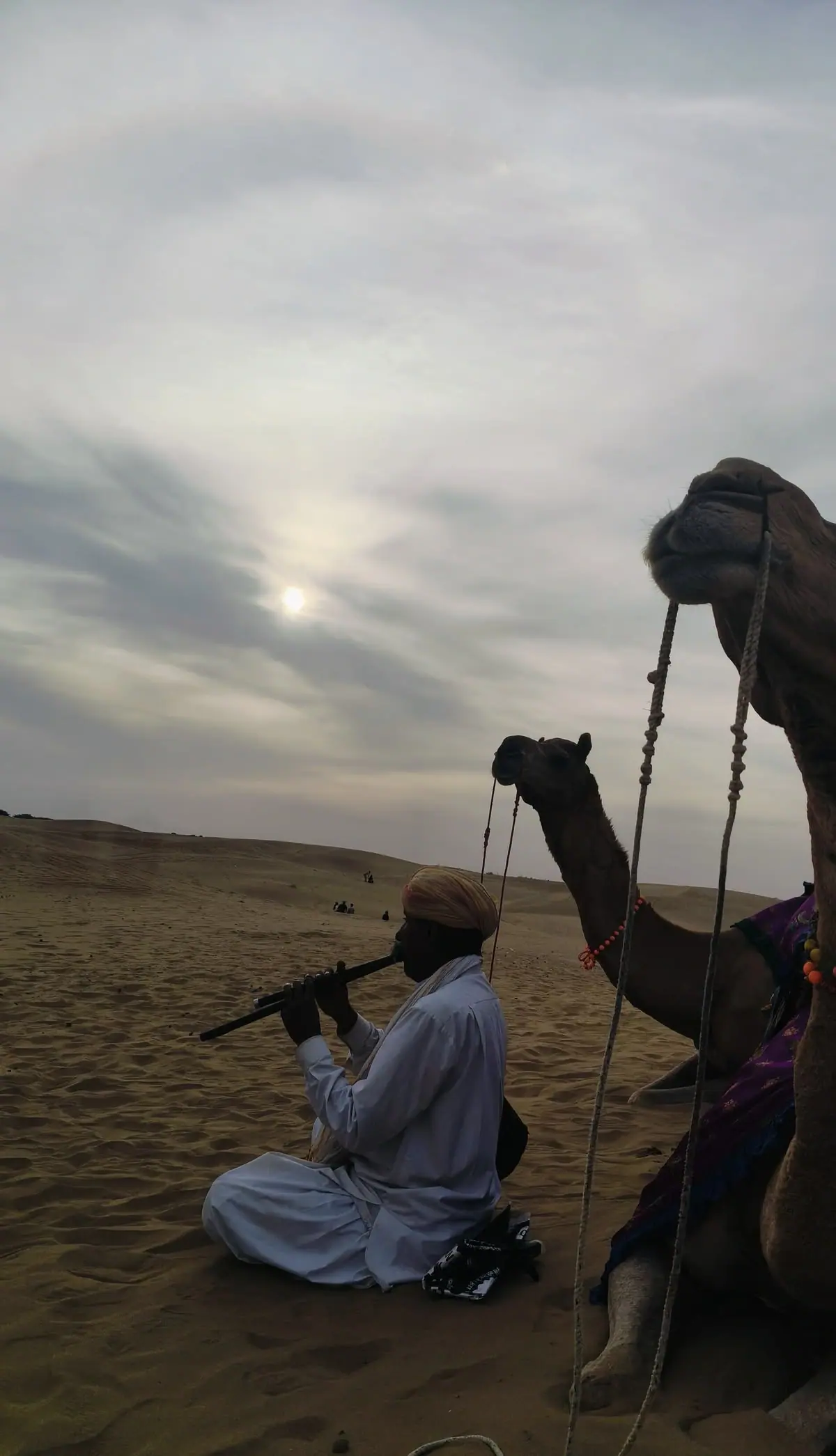 Sunrise Camel Safari