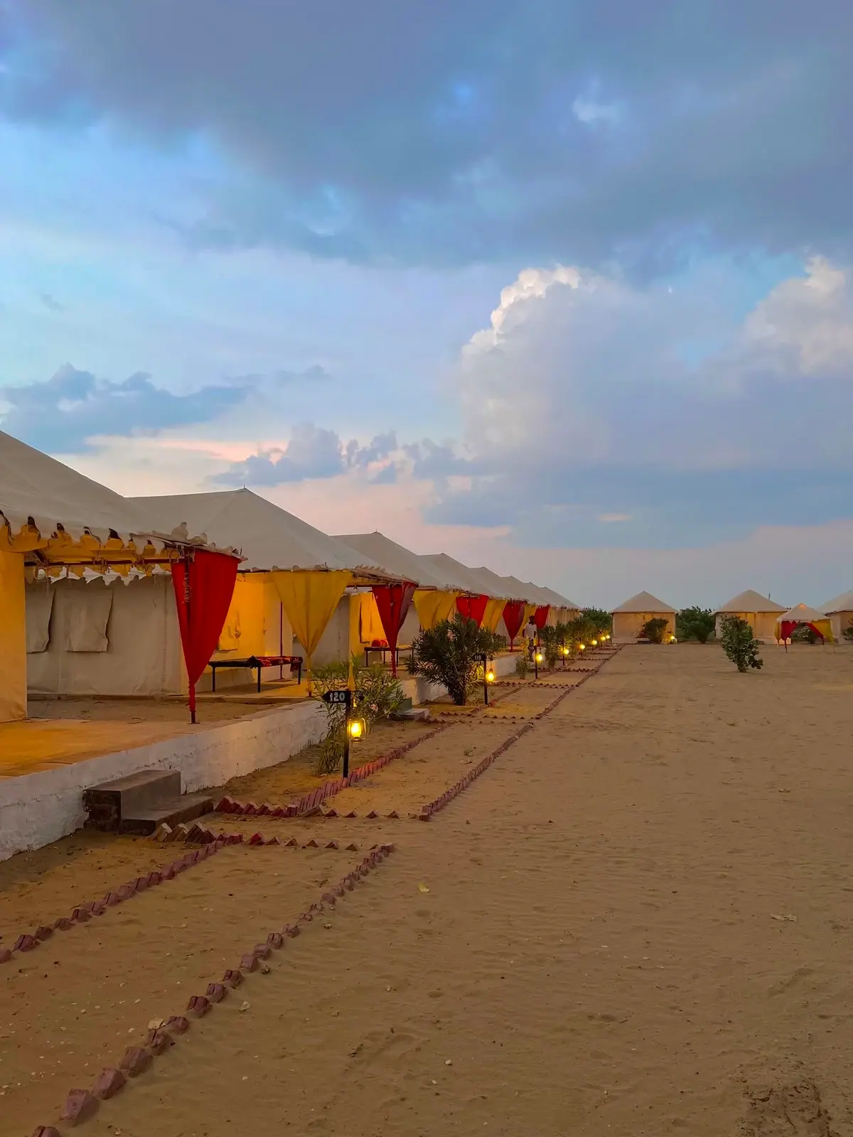 Golden Desert Honeymoon