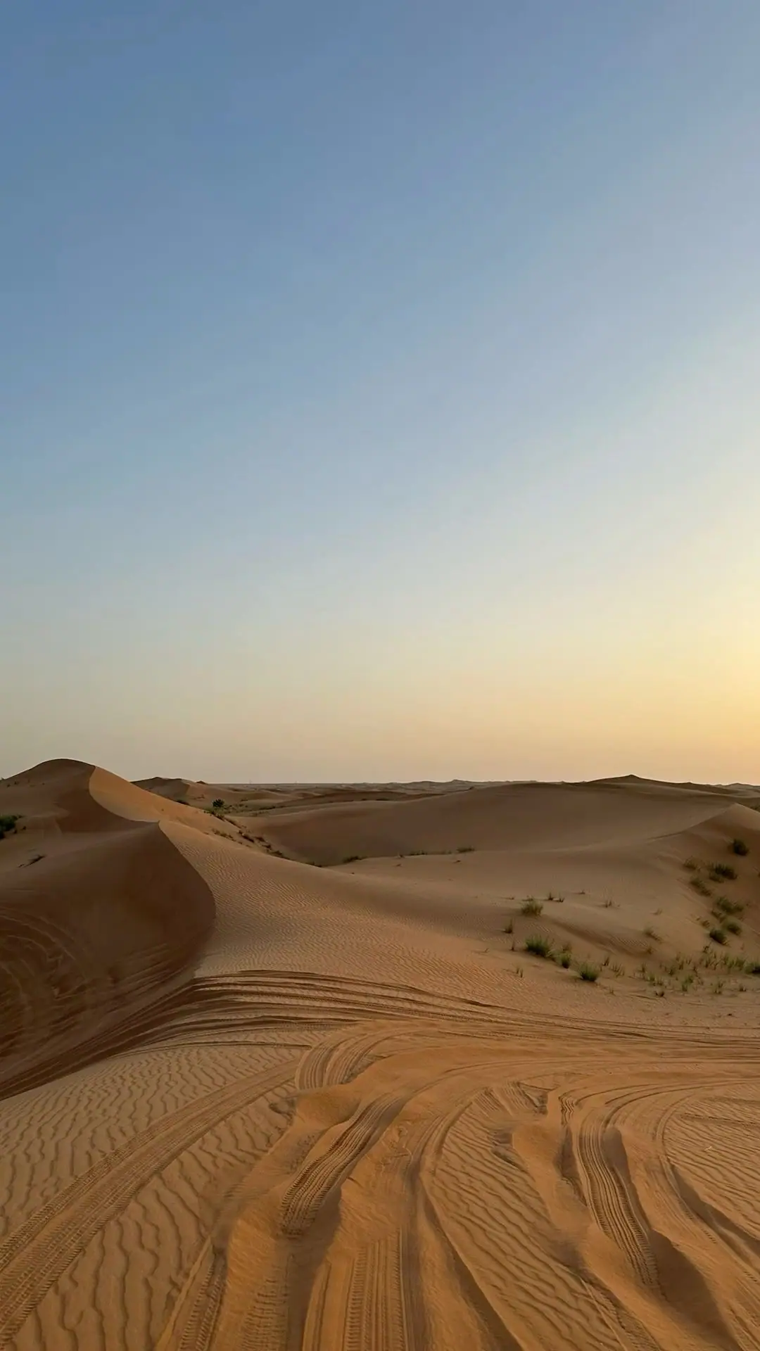 Jaisalmer's Finest