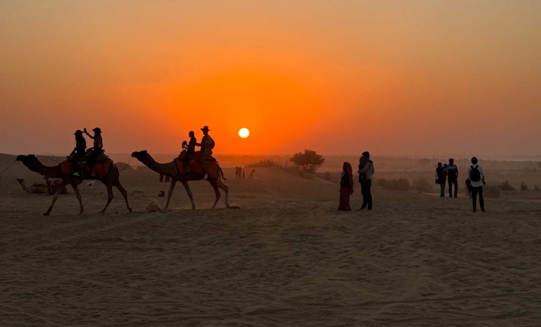 Sam Sand Dunes Jaisalmer