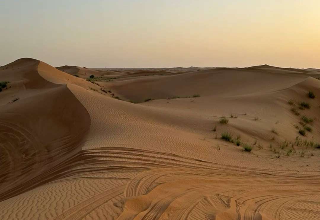 Sam Sand Dunes